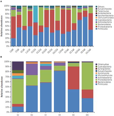 The Changes in Microbiotic Composition of Different Intestinal Tracts and the Effects of Supplemented Lactobacillus During the Formation of Goose Fatty Liver